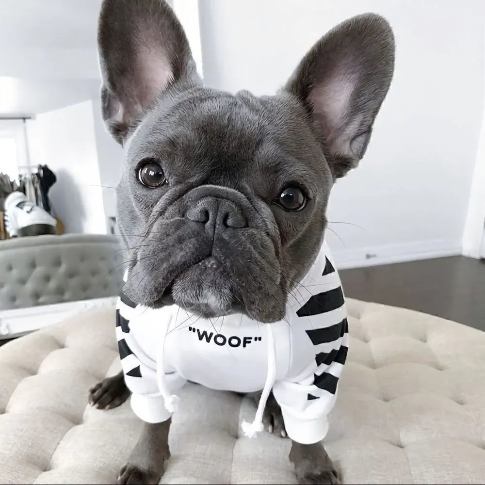❤️dog hoodie❤️good for Chihuahua,Bulldogs Hoodies for small --medium Dogs - Picture 3 of 6